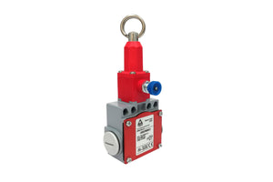 Cable Pull Limit Switch with Reset 1NO 2NC Slow Action C55579800C3 TER